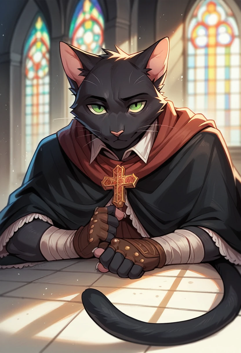 masterpiece, expressive eyes, perfect face, best quality, 1boy, male focus, solo focus, Adult, Tabaxi, Black fur, Cat, Cat tail, Green eyes,Church belfry, fingerless gloves, bloodbourne, black capelet
