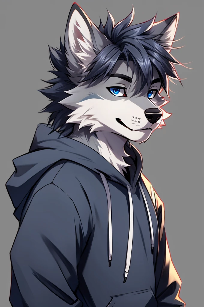 Wolf,Handsome,Grey fur,Blue Eyes,Wearing a hoodie,Simple Background,hair,imo-ish,ボサボサなhair