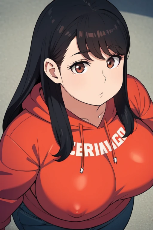 Plump  21 big breasts black hair brown eyes chubby sad longer hair big breastview seen from above hoodie