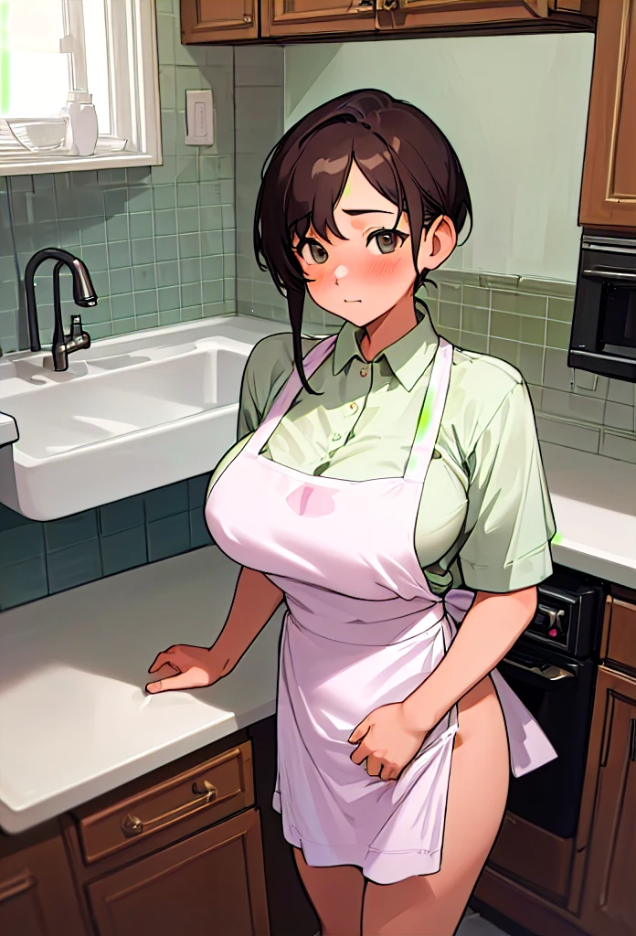 Big Tits,One mother,One elementary school-aged son,High resolution, accurate, Highest quality, Anatomically correct, accurate, High-resolution model, Ultra high definition, Wearing a thin lace apron,Naked under the apron,In front of the kitchen sink(((I'm doing the washing up))),Blushing, smile,