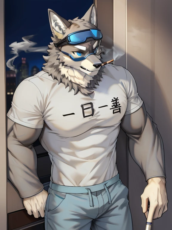 Masterpiece, Solo, Furry Gray Dragon, Adult, Gray Fur, Blue Eyes, Gray Short Hair, Muscular Body, Good Looking, Handsome, Fierce, Casual Shirt, Casual Pants, Blue Goggles, Smoking Cigarettes.