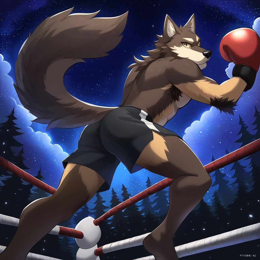 anime style, dark brown Wolf boxing, eyes with pupils, animal ears, black nose, detailed body hair, face, eyes, full body, furry long tail, detailed tail, butt, dress shorts and boxing gloves, fighter, three-toed feet, night sky, forest,