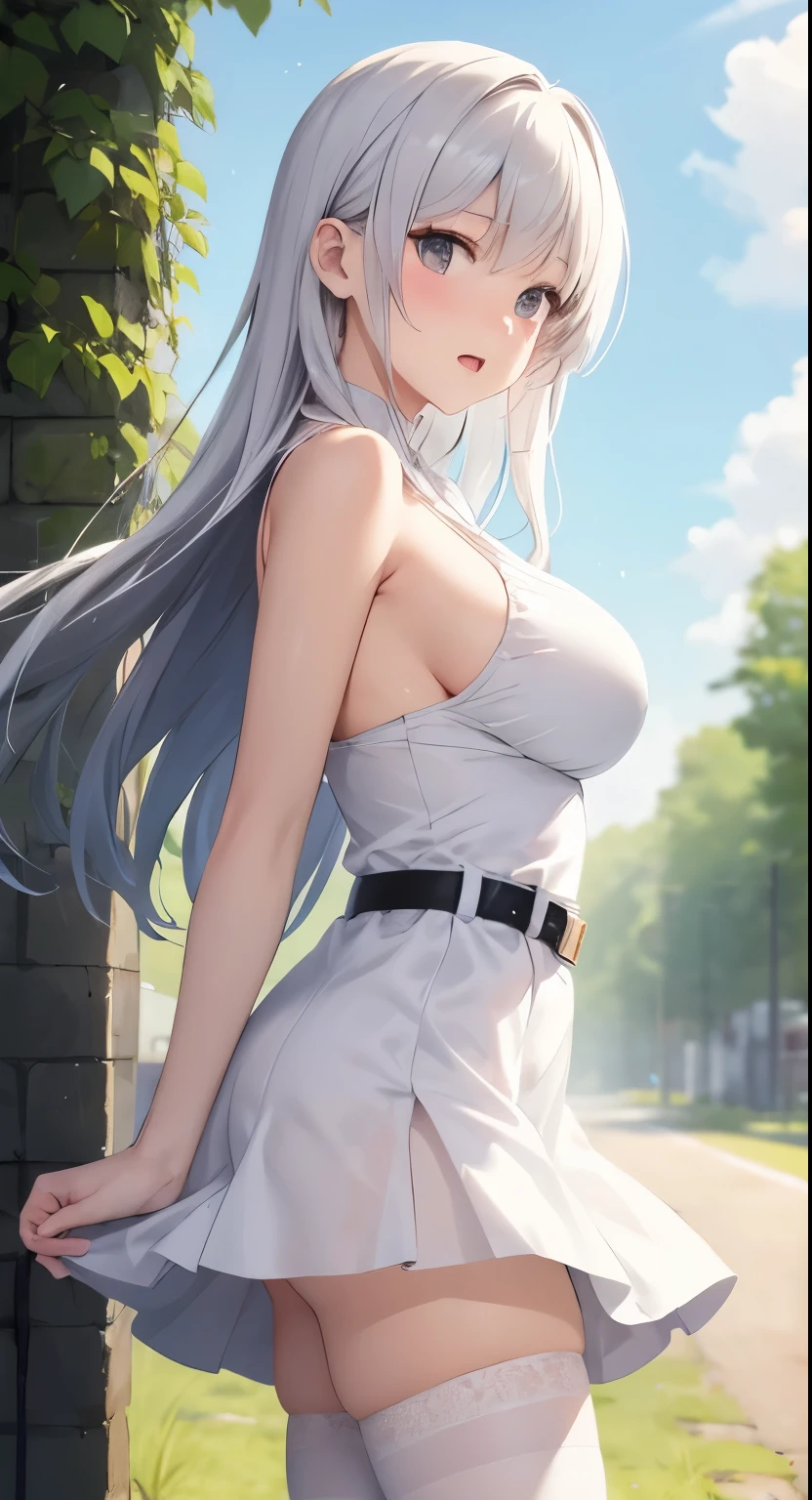 :1.2、、Highest quality、Very detailed、Highly realistic eye masterpiece、Highest quality、Very detailed、Gray Hair、Perfect Face、Long Hair、White Dress、Sundress、anime、countryside、Gutter Belt、White Stockings、{{{{{M-shaped legs}}}}}、nsfw、From tide、Slightly transparent、Crotch、I can see it、hide、The wind is blowing、Skirt rolled up、A glimpse、