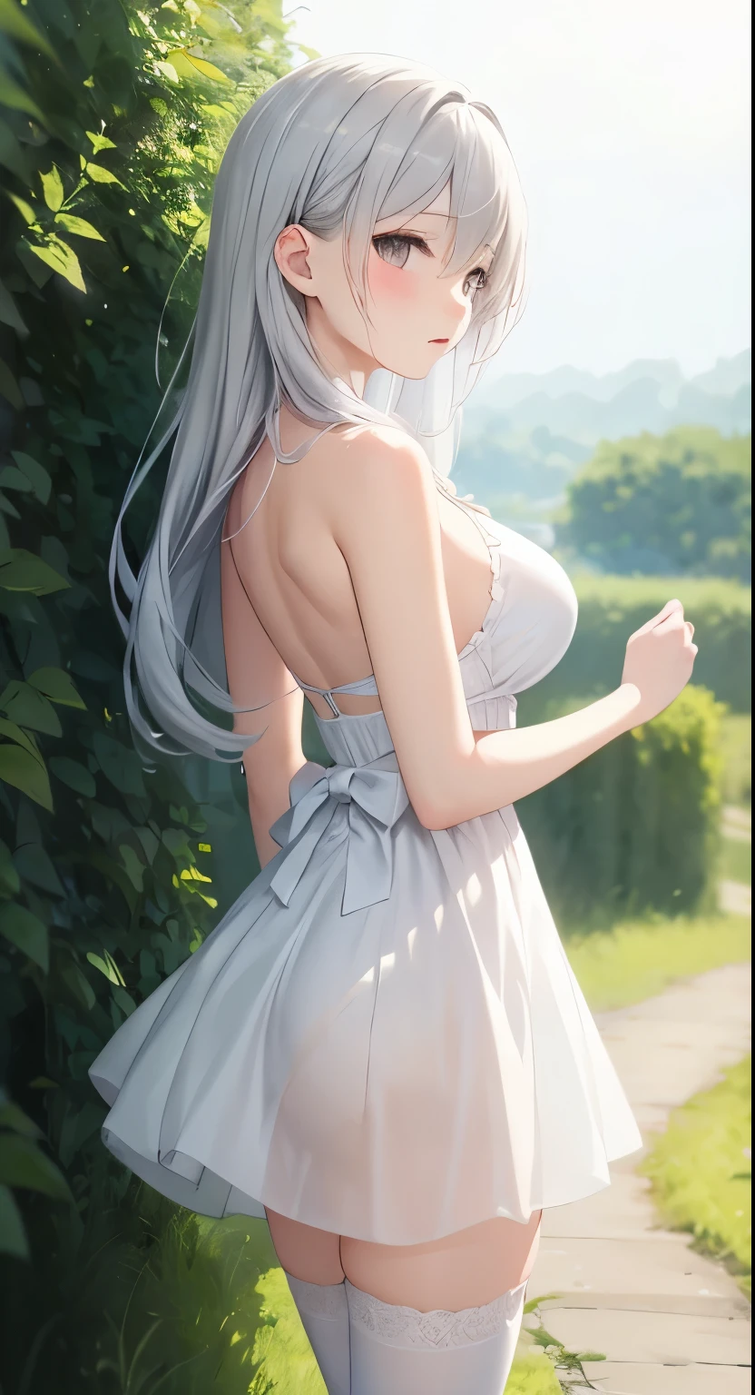 Big Breasts:1.2、、Highest quality、Very detailed、Highly realistic eye masterpiece、Highest quality、Very detailed、Gray Hair、Perfect Face、Long Hair、White Dress、Sundress、anime、countryside、Gutter Belt、White Stockings、{{{{{M-shaped legs}}}}}、nsfw、From the side、Slightly transparent、Crotch、I can see it、hide、The wind is blowing、Skirt rolled up、A glimpse、