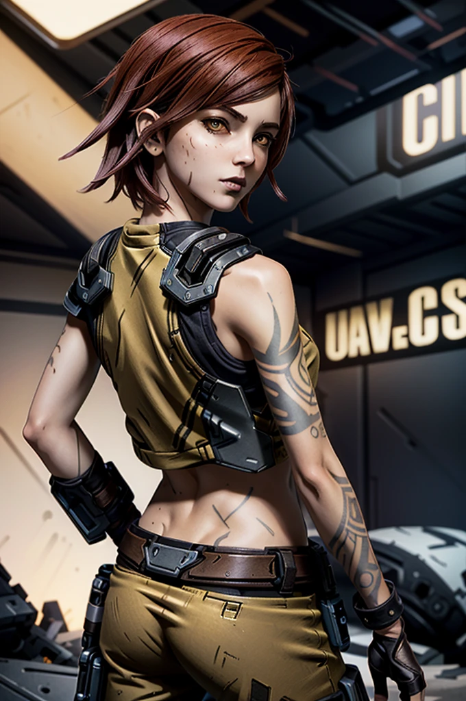 (masterpiece, best quality, cinematic lighting)
LilithBorderlands,  1girl, solo, red hair, yellow eyes, upper body, from behind, looking at viewer
  