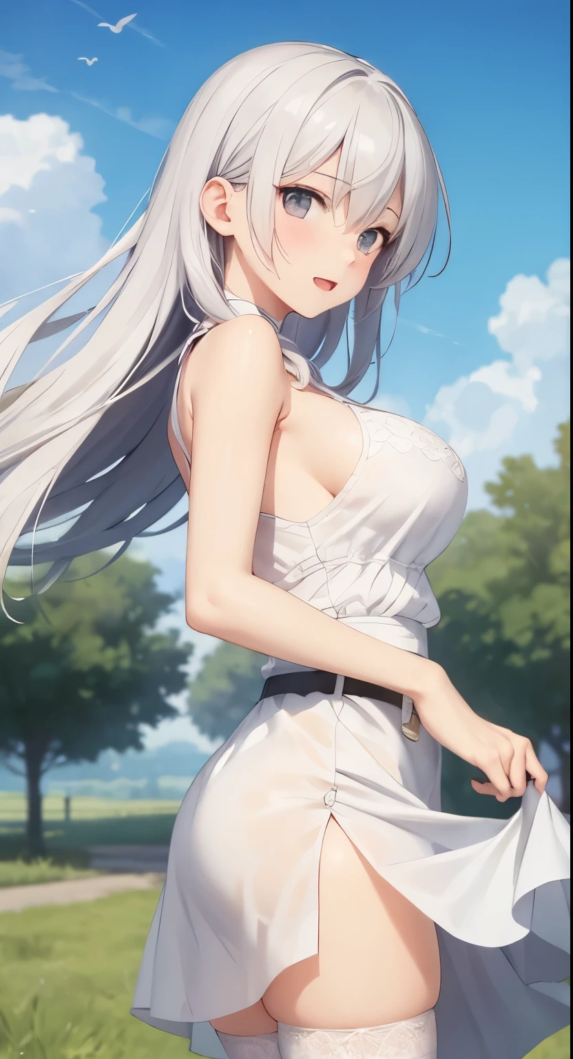 Big Breasts:1.2、、Highest quality、Very detailed、Highly realistic eye masterpiece、Highest quality、Very detailed、Gray Hair、Perfect Face、Long Hair、White Dress、Sundress、anime、countryside、Gutter Belt、White Stockings、{{{{{M-shaped legs}}}}}、nsfw、From the side、Slightly transparent、Crotch、I can see it、hide、The wind is blowing、Skirt rolled up、A glimpse、