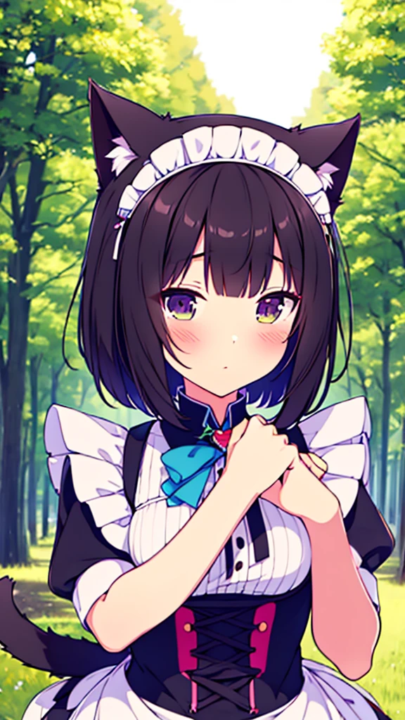 a close up of a person in a dress and a cat ears, maid outfit, anime girl in a maid costume, I will deny the matter, live2d virtual youtuber template, anime cat girl in a maid costume, maid, a maid in a magical forest, magical girl style, maid dress, cat boy cosplay! maid! dress, change