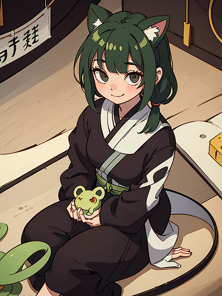 1 girl, animal ears, bangs, black eyes, green hair, straight bangs, cat ears, closed mouth, freckles, holding, holding a frog, indoors, Japanese clothes, long sleeves, looking at the viewer, two pigtails, sitting, smile, solo, wide sleeves, Chinese interior, bandage on arm, arm bandaged