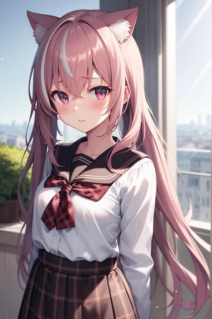 1girl, (upper body:1.3), cat girl, Cat ears, grey hair, streaked hair, pink hair, long hair, hair between eyes, twintails, sailor collar, 
highly_detailed, extremely_detailed_CG_unity_8k_wallpaper, highres, absurdres, beautiful_detailed_eyes, finely_detailed_clothing, finely_detailed_light, highly_detail_hair_, Beautiful eyes,
colorful, light rays, caustics, aistics, lens flare, bokeh, nsfw, flat-chested, pink eyes, White silk stockings, JK Uniform Plaid Skirt, school uniform, Light pink mini skirt, blush, 
score_anime, score_9, score_8_up, masterpiece, beautiful scenery, lovely,