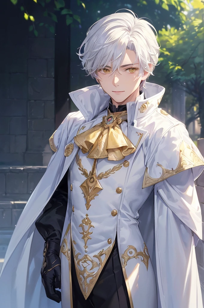 (((masterpiece; best quality: 1.2))), (finely detailed eyes: 1.3), ((ung man)), ((solo)), (yellow eyes: 1.4), (body shape; lean, masculine, manly: 1.3), (very short white hair: 1.3), (beautiful and clear background: 1.2), ((depth of field)), (equipment: dark-fantasy nobleman attire + white long-sleeve overcoat + black vest + black high-neck shirt + gloves: 1.3), (anime illustration: 1.2), (background composition; palace gardens + day: 1.1), (extremely handsome: 1.1), (shot composition; standing + centered on face + bust close-up: 1.5), (facial expression; calm, smile: 1.2)