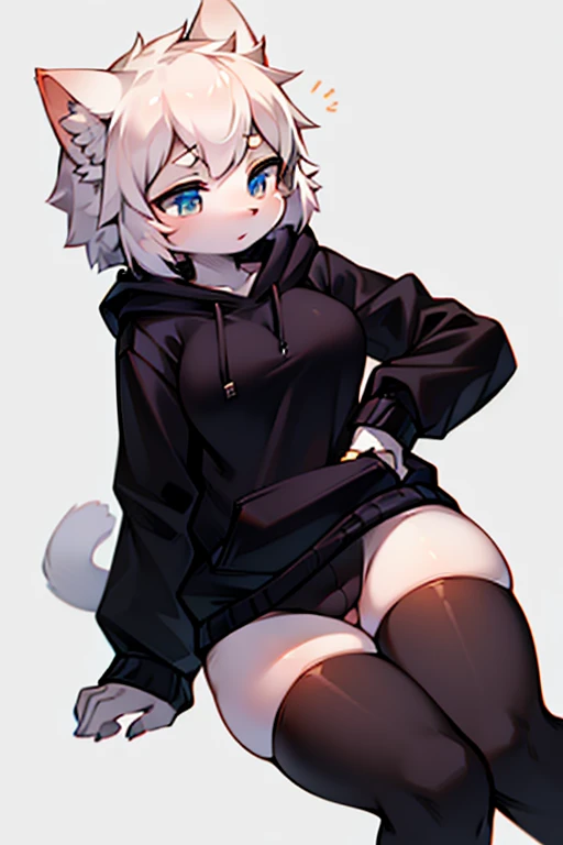 Female, cat, white fur, black ovesized hoodie, thigh highs, medium boobs, small ass
