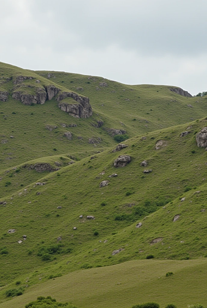 Hill