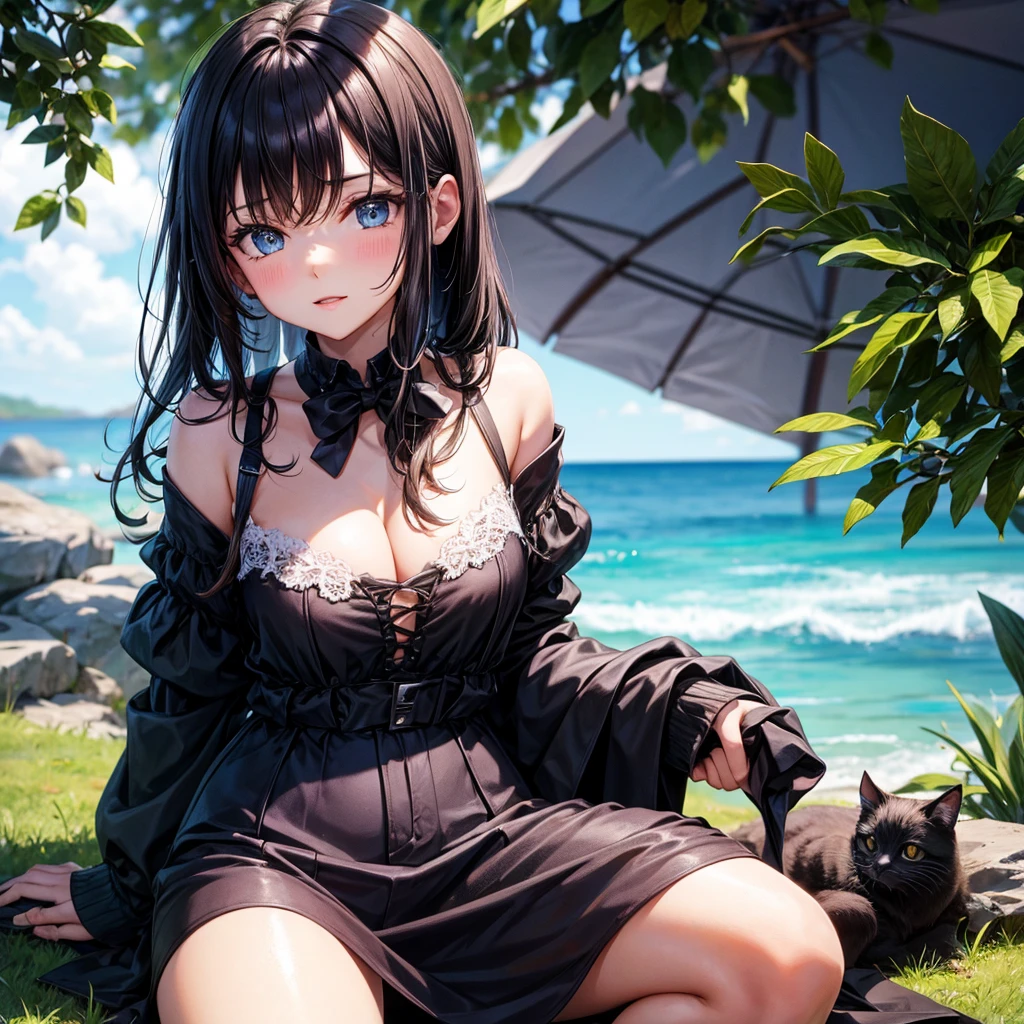Cute black cat