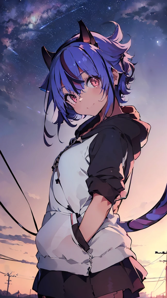 masterpiece, Highest quality, High resolution, Very detailed,(((Cat ears Mikoto))), (((With a cat tail。))), (((Town)))、(((electric wire)))、(((smile)))、(((Standing in the distance))), (((Wearing a black hoodie。))), Electric pole, night, (((Starry Sky))), (((comet))), (((Blue Hair))), (((Multicolored Hair))), (((horn))), (((Pink Eyes)))