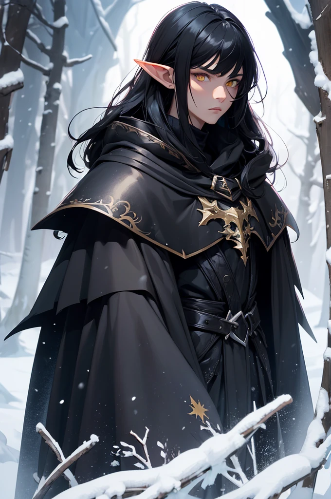 Man, black armor. black cloak. black hair, Parted bangs. yellow eyes. elf ears, winter background, stern looks, males