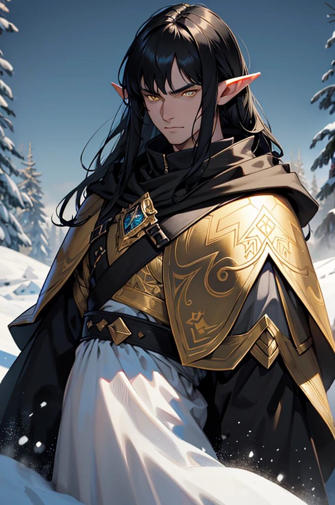 Man, black armor. black cloak. black hair, Parted bangs. yellow eyes. elf ears, winter background, stern looks, males, shoulder length hair, black stubble 