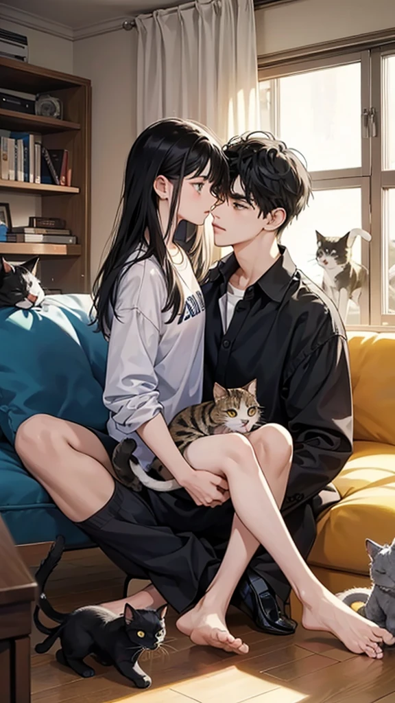 college student couple,Still face, black hair, Multiple cats,Carrying a cat, living room