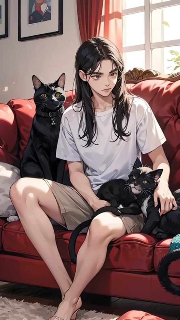 college student couple, Carrying a cat, Sit on the sofa, Black Cat, living room