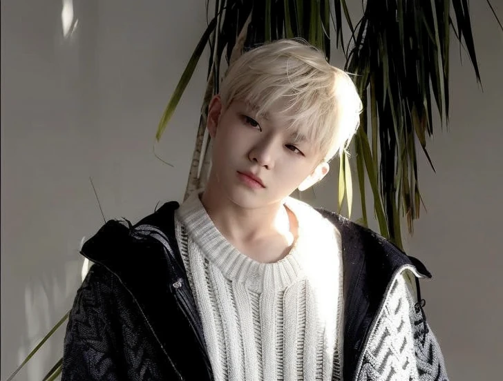 Woozy. lee jihoon. Seventeen. St. Calm essence. slanted eyes. serene expression. Beautiful. Pretty lips. 