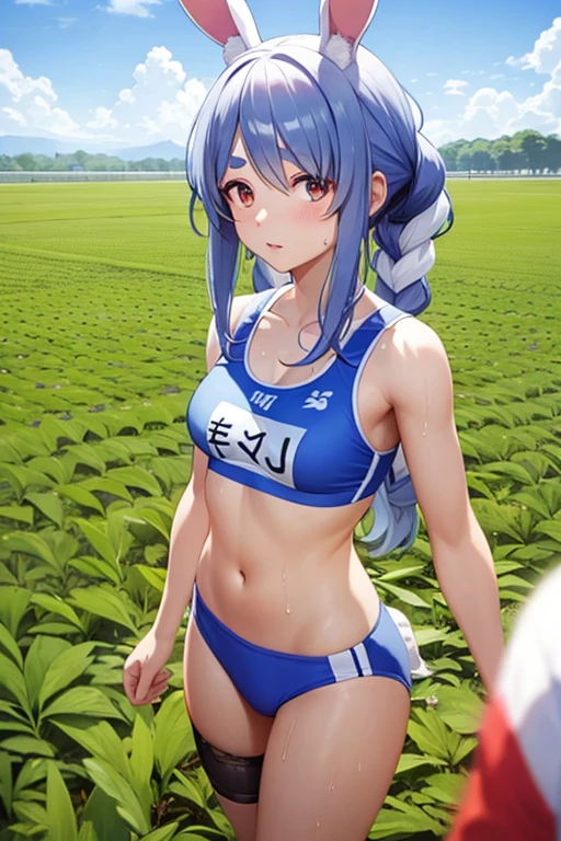 ccpekora, long hair, rabbit ears　Covered in sweat　Sports Bra　Sports Bikini　Rice fields in the countryside　Muddy　Standing in a rice field　Covered in mud　