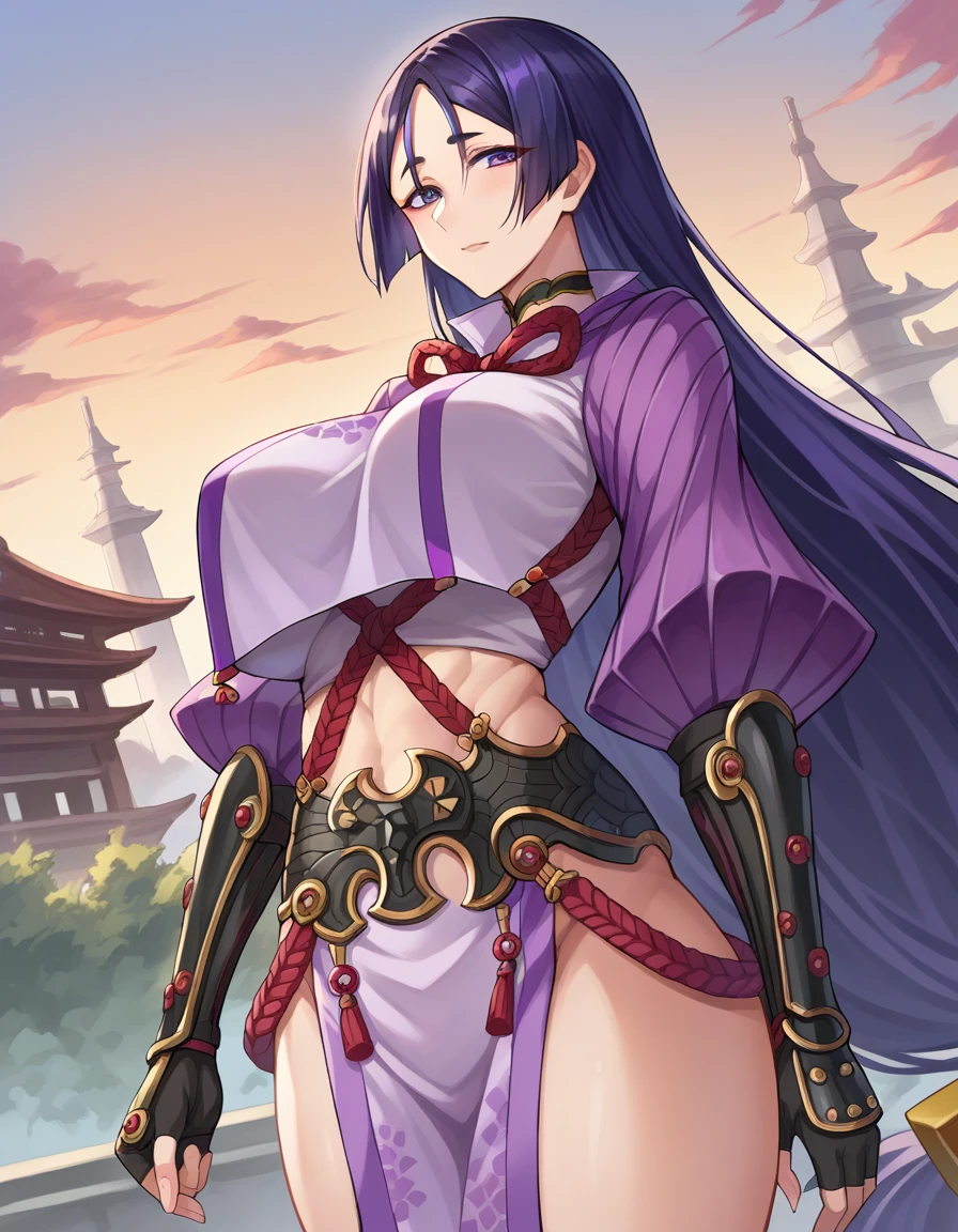 score_9, score_8_superior, score_7_superior, sauce_anime,
Raikou, Raikou, Parted bangs, Purple eyes, Purple Hair, Long Hair, Hime cut, amount, Mature Woman,
Arm guard, armor, black gloves, Bodysuits, fingerless gloves, gloves, japanese armor, place, Loincloth, purple Bodysuits, Ribbed sleeves, Tabard, Toned Up,
Outdoor, Cityscape, I had already finished,
View your viewers, Cowboy Shot, Dutch Angle,