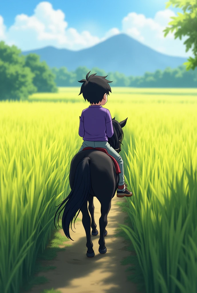 One sunny afternoon in a rice field, There was a boy with black hair, wearing a purple long-sleeved shirt, grey pants, riding a small black horse.