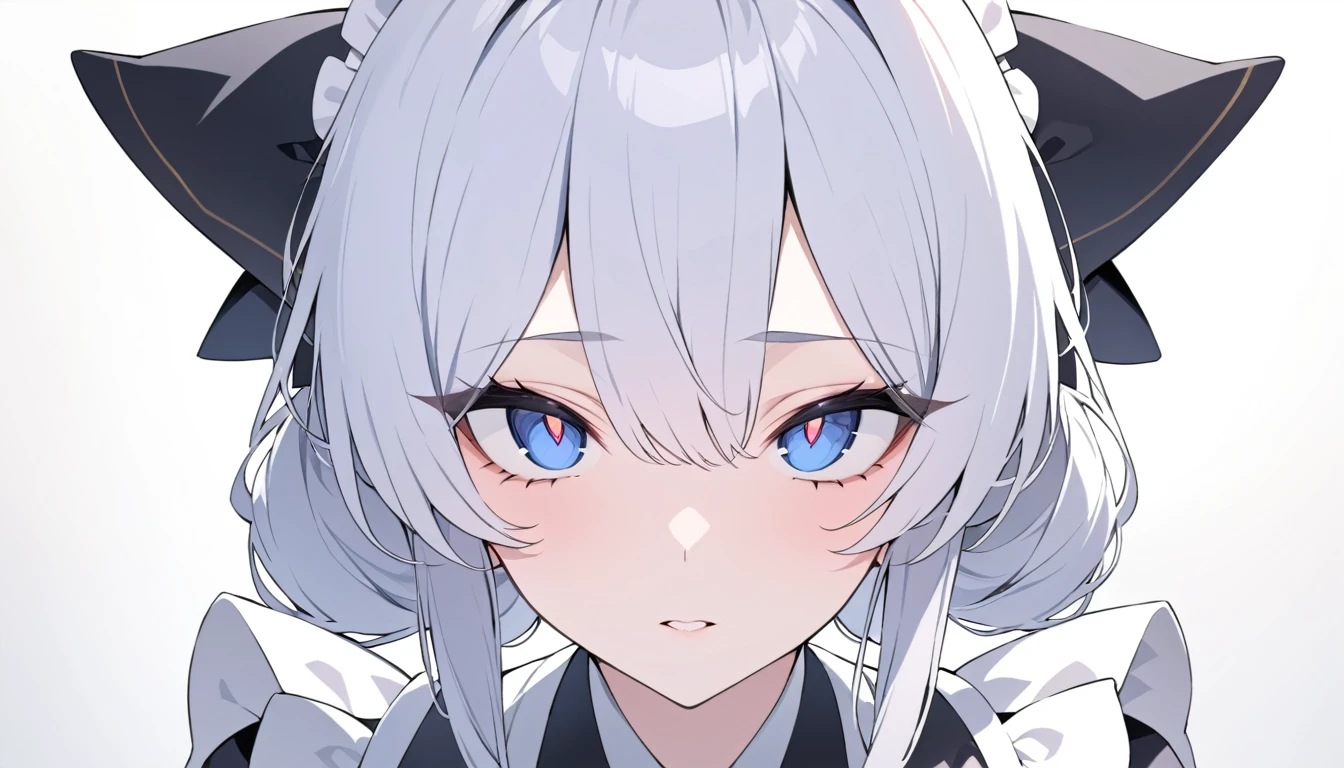 (masterpiece, High resolution), perfect face, beauty of Japan, beautiful woman , (top quality eyes), detailed texture, Look at me, ((high resolution eyes)), white background , maid