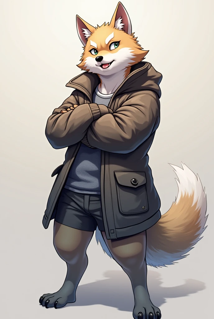 Animated wolf standing, crossing hand, pose slightly tilted to the side, anime style, wearing layered jacket