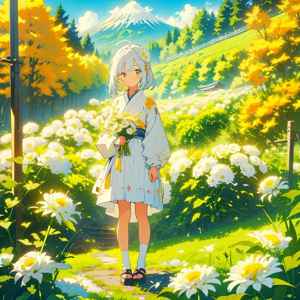 A girl on a hill with small white chrysanthemums with yellow centers at her feet、Netherlands and Japan、Screen Split