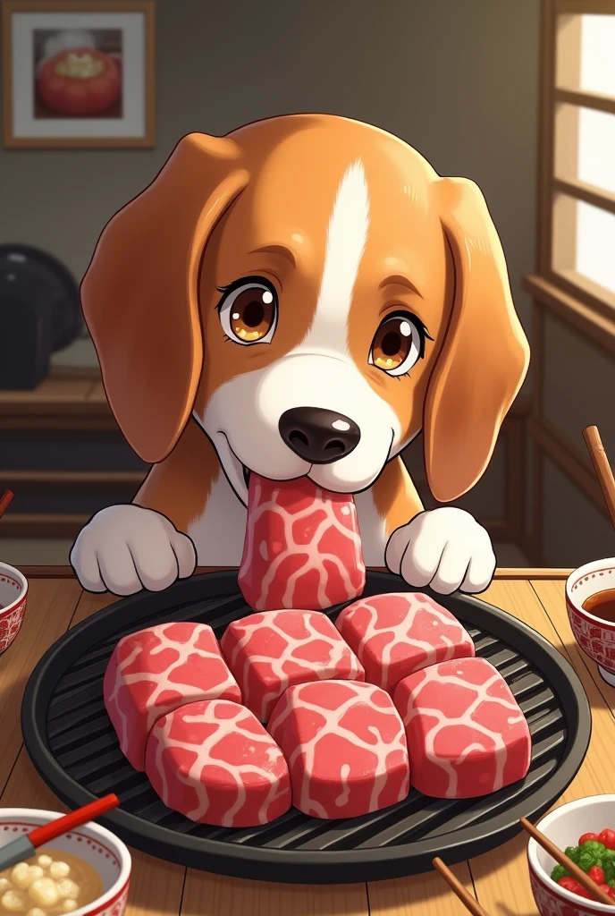 Beagle dog、Eating yakiniku。