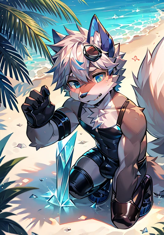 Furry,Wolf boy,White fur,crystal blue eyes,Single fluffy tail,greyt hair,short detailed hair,summer day,dive,Wear diving goggles,masculine features,back,Squat,asshole