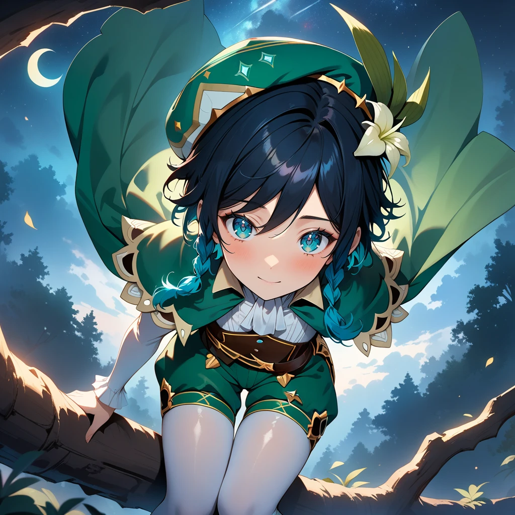 (best quality,4k,8k,highres,masterpiece:1.2),1boy,venti_\(genshin_impact\),in a tree,(face focus,detailed face and clear eyes),flat chest,realistic:.5,night time,ladyshadow,bluegreen eyes,mysterious smile,green cape,white long sleeved shirt,leather corset,(puffy green shorts),(plain white tights),green hat, dark night scene, starry sky with silver moon,dark,low light,deep blue lighting,