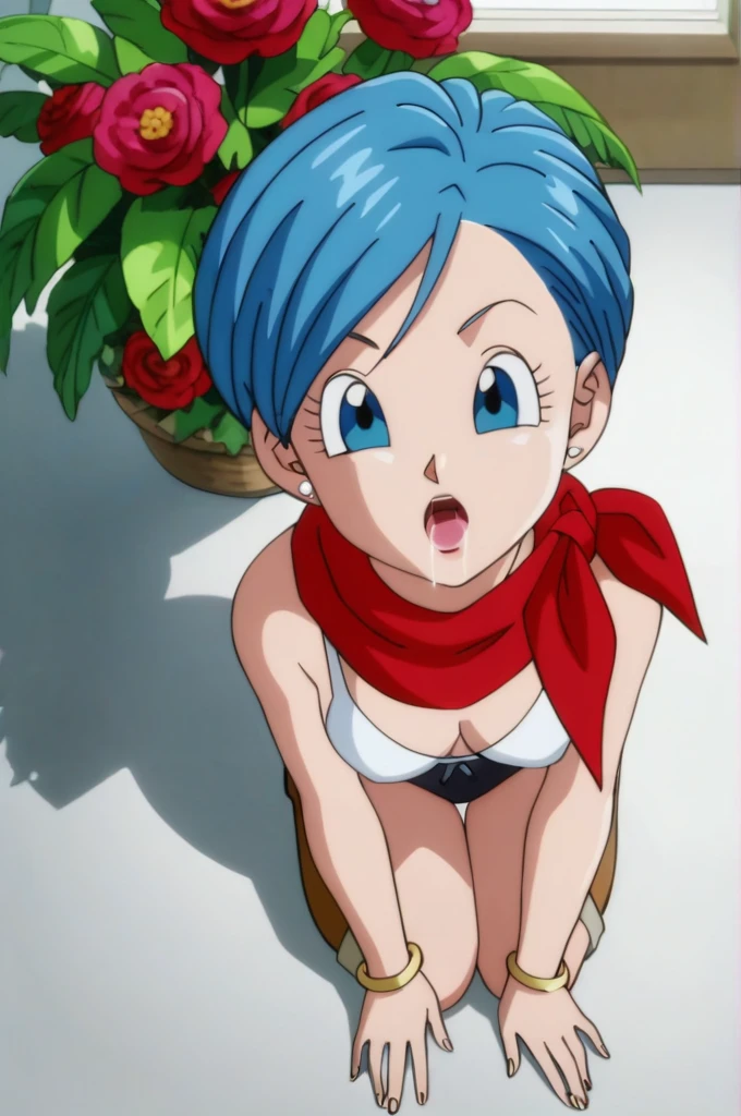 source_anime, score_9, score_8_up, score_7_up, anime screencap,8k, absurd res, correct the iris of the LoRA, focus on getting the LoRA eyes right,  perfect eyes,
bulma, 1girl, solo, blue eyes, blue hair, short hair, official style, 
Underwear, (sensual underwear), white bra, black panty, red neckerchief, brown footwear, long boots,
flowers, palm tree, from above, kneeling, looking at viewer, open mouth, saliva, 
 