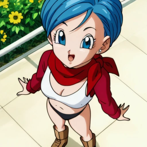 source_anime, score_9, score_8_up, score_7_up, anime screencap,8k, absurd res, correct the iris of the LoRA, focus on getting the LoRA eyes right, perfect eyes,
bulma, 1girl, solo, blue eyes, blue hair, short hair, official style,
Underwear, (sensual underwear), white bra, black panty, red neckerchief, brown footwear, long boots,
flowers, palm tree, from above, standing, looking at viewer, open mouth,