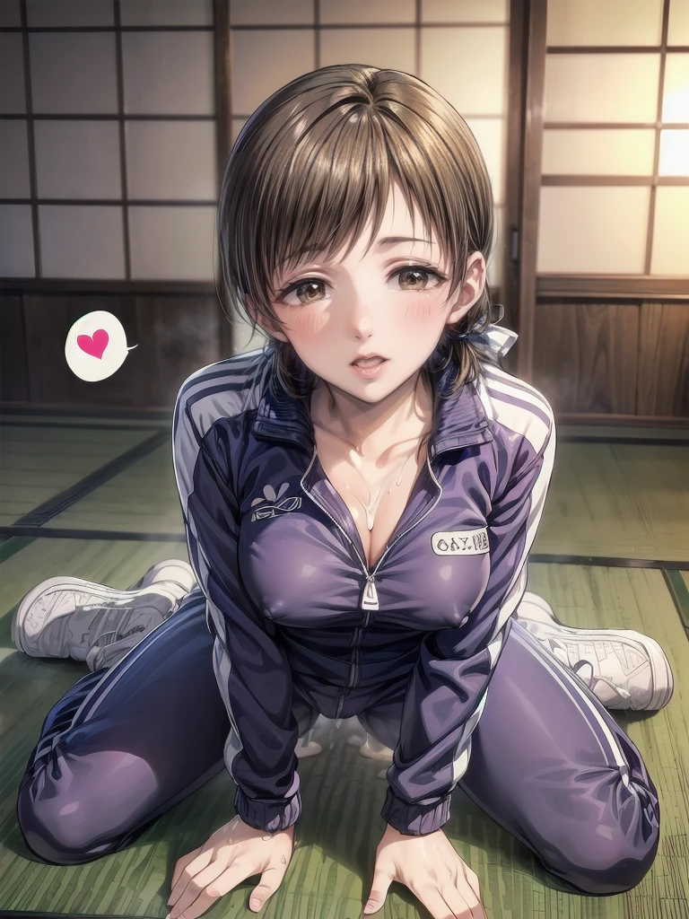 nsfw,uncensored,(highest quality,masterpiece:1.3),disorganized,High resolution,16k, 超High resolution, official art,figure,very detailed,anime color,perfect hands, perfect fingers, perfect legs),(cowboy shot,From front,full body,1 girl, idol master,(mimami nitta),19yo,(brown ponytail hair), (long straight hair), ((brown eyes)),shiny hair, shining eyes, delicate line tail face, sitting, spread your legs, leaning forward, open your mouth, (smile),(one eye closed),((stick out tongue:1.3)),sit on beach mat, toes, Boot sole,nipple, belly button), (gray colour tracksuit:1.9),(open clothes), (large breasts), (glowing skin:1.3), (Sweat:1.4), (pubic brown hair:1.5), (open vagina:1.4), (heart pose:1.5),(cum shot:1.3),(bukkake:1.9),(cum on Face:1.5),(cum on hair:1.5),(vaginal penis:1.2), testicle, (a man:1.2), hetero, (lady sit astride on man:1.3), (lady on top), (intense Sex:1.6),(doggy style),((one eye closed)),(((multiple boys:1.9, peeing on a girl,multiple penises:1.9, gangbang,holding penis))),looking at viewer),saliva trail, nose blush,cum shot,,(spoken heart:1.5),(peace sign:1.5),(ahegao:1.5),(bloom:1.3),(look at camera:1.5),(bitch:1.3),(Commemorative photo:1.5),(happy:1.5,love:1.5),(grin:1.3),(background,indoor,japanese ryokan,huton:1.5),