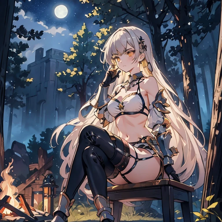 full_body,armor_bikini,armor_gloves,armor_boots,garter_belt,necklace,earrings,pubic_tatoo,moonlight,starlight,forests,stary_sky,beautiful_sky,beautiful_forests,fog,blush,night,campfire,sitting_on_chair,beautiful_black_and_bronde_multicolored_hair,beautiful_yellow_eyes,1_beautiful_girl,cute_face,pretty_face,beautiful,perfect_quality,perfect_anatomy,perfect_body,masterpiece,