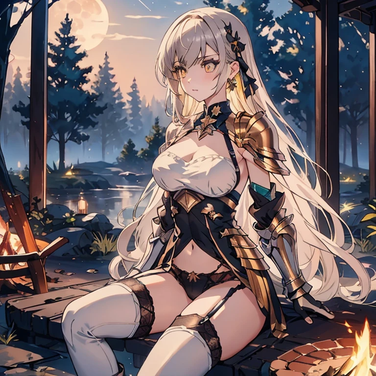 full_body,armor_bikini,armor_gloves,armor_boots,garter_belt,necklace,earrings,pubic_tatoo,moonlight,starlight,forests,stary_sky,beautiful_sky,beautiful_forests,fog,blush,night,campfire,sitting_on_chair,beautiful_black_and_bronde_multicolored_hair,beautiful_yellow_eyes,1_beautiful_girl,cute_face,pretty_face,beautiful,perfect_quality,perfect_anatomy,perfect_body,masterpiece,