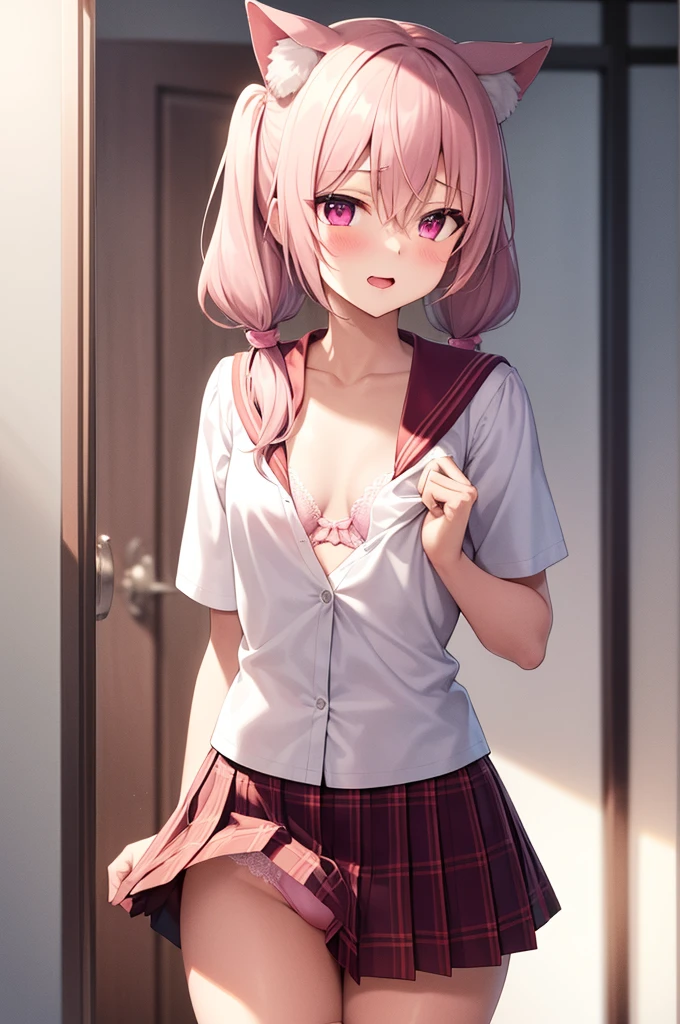 1girl, cat girl, Cat ears, grey hair, streaked hair, pink hair, long hair, hair between eyes, twintails, sailor collar,
highly_detailed, Beautiful eyes, extremely_detailed_CG_unity_8k_wallpaper, highres, absurdres, beautiful_detailed_eyes, finely_detailed_clothing, finely_detailed_light, highly_detail_hair_,
colorful, light rays, caustics, aistics, lens flare, bokeh, nsfw, A small chest, pink eyes, White silk stockings, JK Uniform Plaid Skirt, school uniform, Light pink mini skirt, blush,
score_anime, score_9, score_8_up, masterpiece, The wind blows up the skirt, charming, sexually suggestive, lace lingerie, Pink underwear