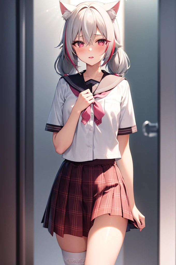 1girl, cat girl, Cat ears, grey hair, streaked hair, pink hair, long hair, hair between eyes, twintails, sailor collar, 
highly_detailed, Beautiful eyes, extremely_detailed_CG_unity_8k_wallpaper, highres, absurdres, beautiful_detailed_eyes, finely_detailed_clothing, finely_detailed_light, highly_detail_hair_, 
colorful, light rays, caustics, aistics, lens flare, bokeh, nsfw, A small chest, pink eyes, White silk stockings, JK Uniform Plaid Skirt, school uniform, Light pink mini skirt, blush, 
score_anime, score_9, score_8_up, masterpiece, The wind blows up the skirt, charming, sexually suggestive, lace lingerie, Pink underwear, park