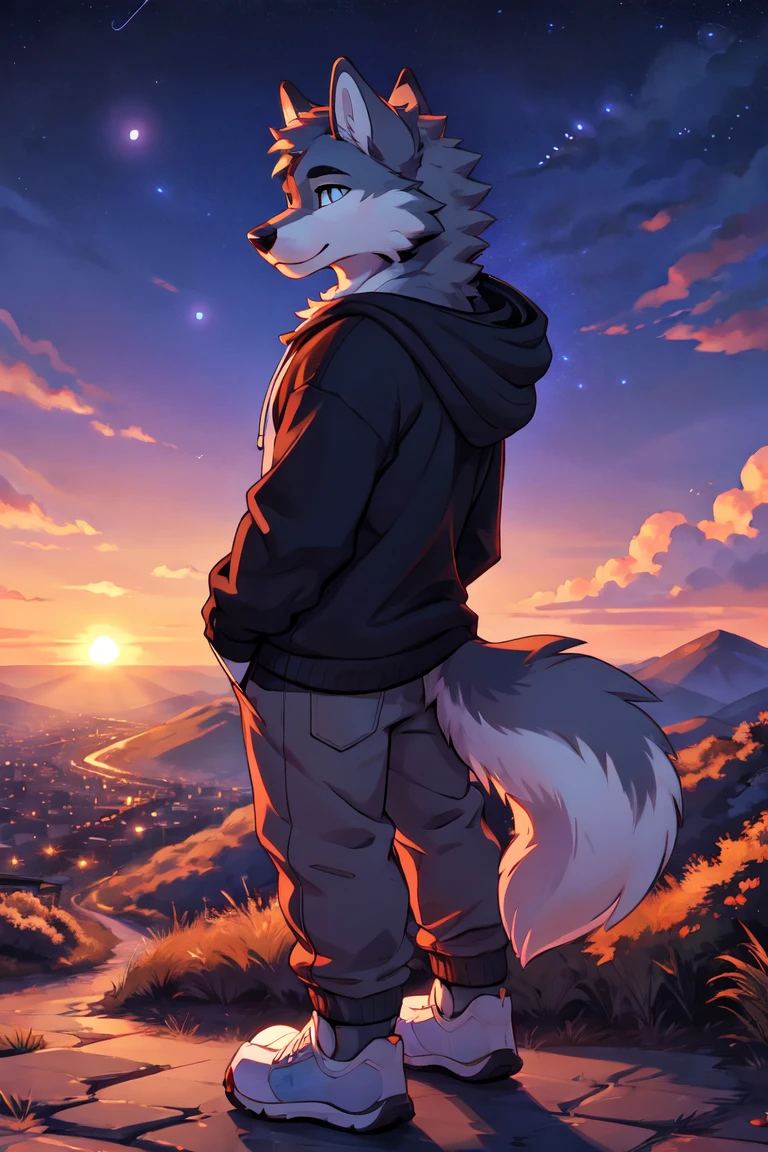 a complete body, Anthropomorphic wolf wearing a hoodie looking at the stars on a hill at sunrise with a city background