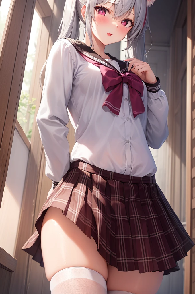 1girl, cat girl, Cat ears, grey hair, streaked hair, pink hair, long hair, hair between eyes, twintails, sailor collar,
highly_detailed, Beautiful eyes, extremely_detailed_CG_unity_8k_wallpaper, highres, absurdres, beautiful_detailed_eyes, finely_detailed_clothing, finely_detailed_light, highly_detail_hair_,
colorful, light rays, caustics, aistics, lens flare, bokeh, nsfw, A small chest, pink eyes, White silk stockings, JK Uniform Plaid Skirt, school uniform, Light pink mini skirt, blush,
score_anime, score_9, score_8_up, masterpiece, The wind blows up the skirt, charming, sexually suggestive, lace lingerie, Pink underwear, park, low angle view