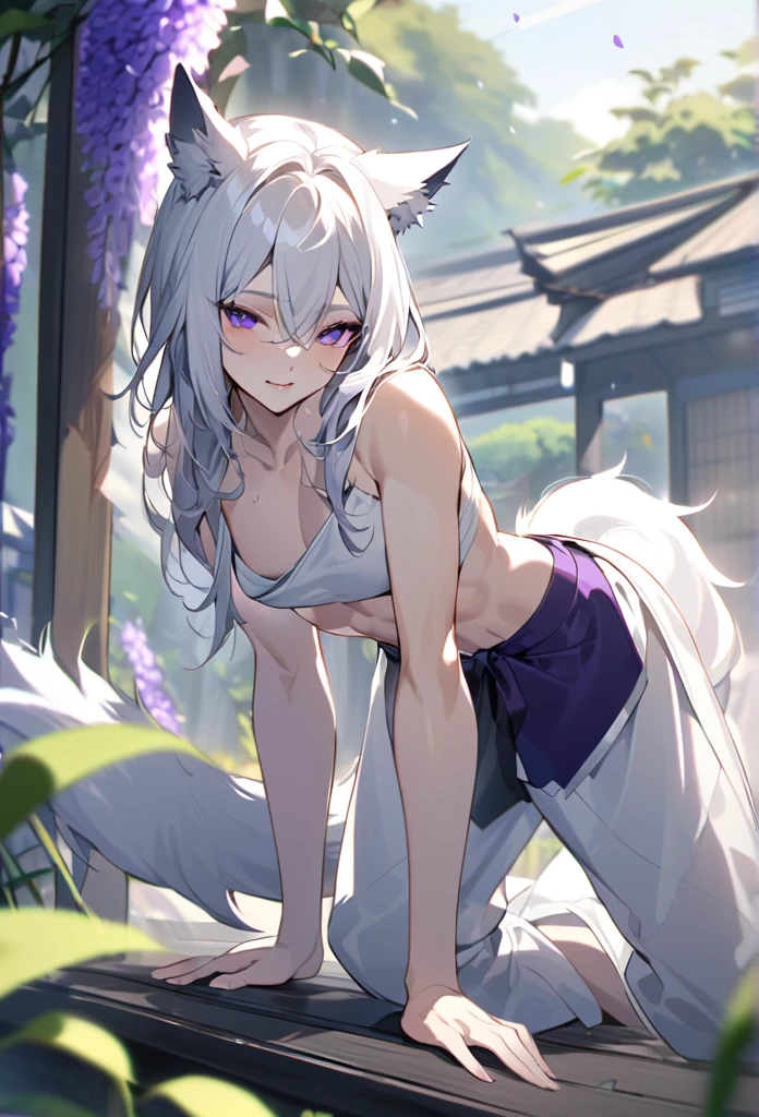 Character masculine White wolf ears and tail Outdoor With a seductive smile on her lips  in a day mood , white hair long Up to the back, purple iris eyes, white skin, Toned and Defined body, Wearing only the lower Using only parts of the Kimono pants Shirtless Doing sit-ups 