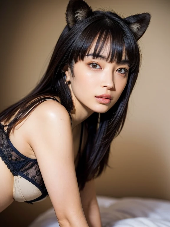 ((Highest quality, 8k)), ((masterpiece)), (Highest Resolution), Perfect Face, Woman with raccoon ears, Female college student, Beautiful woman, public, One tail, she has thick thighs, Big raccoon tail, She has a brown raccoon tail., She wags her tail, Troubled face, Fur collar, She is wearing a bra and panties, Beautiful Hips , One tailがパンティーから突き出す, Big Breasts, On all fours