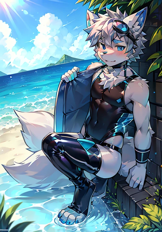 Furry，wolf boy，White fur，crystal blue eyes，Single fluffy tail，greyt hair，short detailed hair，summer day，dive，Wear diving goggles，masculine features，Squat，asshole，bulge，Sexy latex swimsuit，stirrup legwear，full body