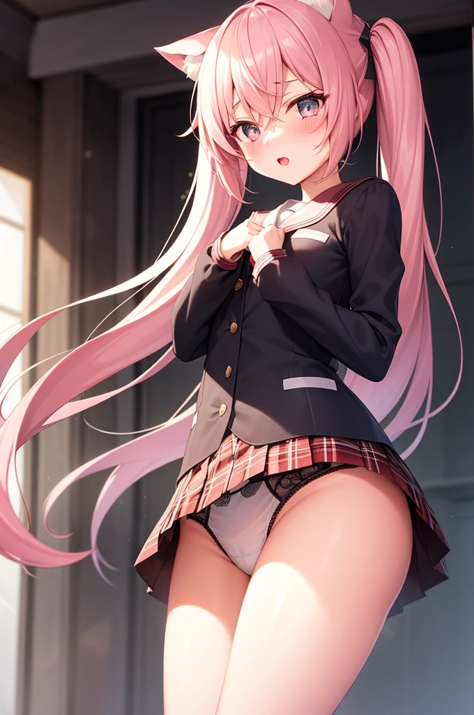 1girl, cat girl, Cat ears, grey hair, streaked hair, pink hair, long hair, hair between eyes, twintails, sailor collar, 
highly_detailed, Beautiful eyes, extremely_detailed_CG_unity_8k_wallpaper, highres, absurdres, beautiful_detailed_eyes, finely_detailed_clothing, finely_detailed_light, highly_detail_hair_, 
colorful, light rays, caustics, aistics, lens flare, bokeh, nsfw, A small chest, pink eyes, White silk stockings, JK Uniform Plaid Skirt, school uniform, Light pink mini skirt, blush, 
score_anime, score_9, score_8_up, masterpiece, The wind blows up the skirt, charming, sexually suggestive, lace lingerie, Pink underwear, park, low angle view