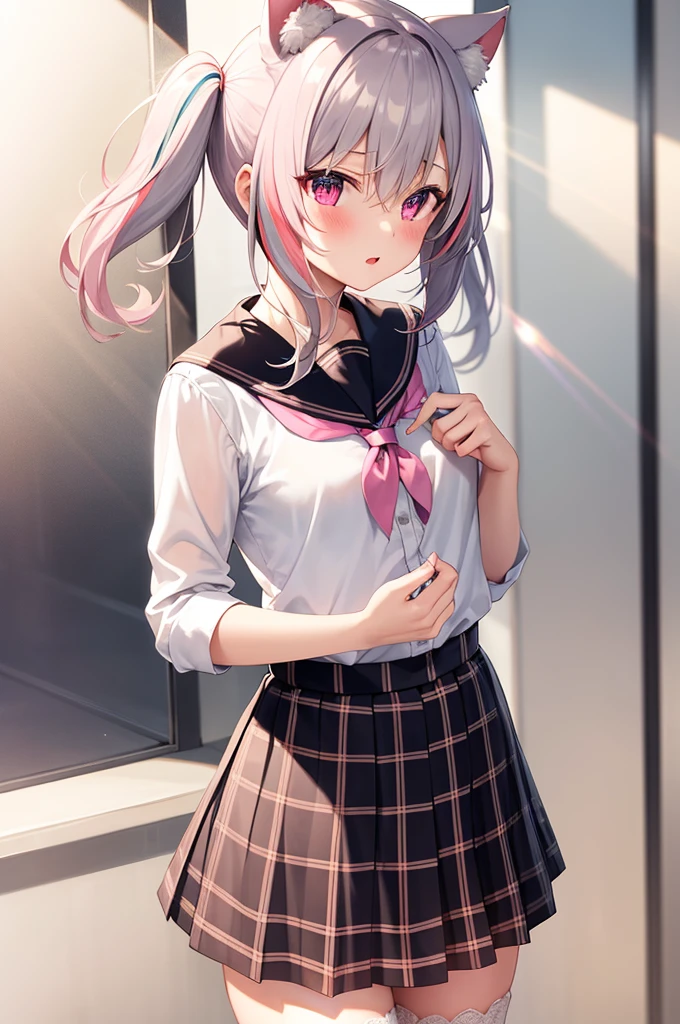 1girl, cat girl, Cat ears, grey hair, streaked hair, pink hair, long hair, hair between eyes, twintails, sailor collar, 
highly_detailed, Beautiful eyes, extremely_detailed_CG_unity_8k_wallpaper, highres, absurdres, beautiful_detailed_eyes, finely_detailed_clothing, finely_detailed_light, highly_detail_hair_, 
colorful, light rays, caustics, aistics, lens flare, bokeh, nsfw, A small chest, pink eyes, White silk stockings, JK Uniform Plaid Skirt, school uniform, Light pink mini skirt, blush, 
score_anime, score_9, score_8_up, masterpiece, The wind blows up the skirt, charming, sexually suggestive, lace lingerie, Pink underwear, park, low angle view