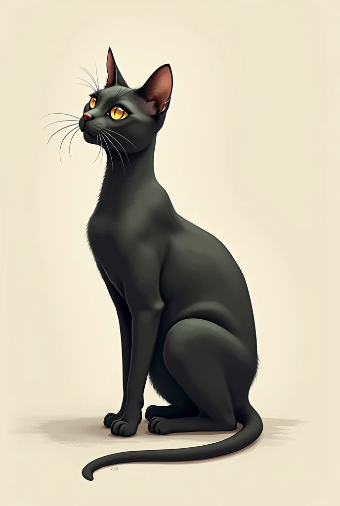 One cat