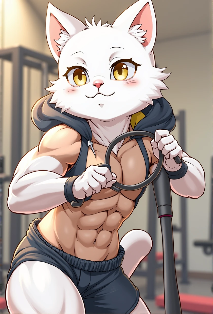 a muscular cat, athletic cat, muscular feline, athletic feline, cat with defined muscles, cat with six-pack abs, cat doing strength training, cat lifting weights, cat in gym, cat in fitness studio, cat in workout clothes, cat with visible muscle tone, cat with bulging biceps, 1 cat, realistic, detailed, 8k, high resolution, hyperrealistic, cinematic lighting, warm color palette, beautiful fur textures, feline musculature, powerful cat pose, action shot, dynamic composition, compelling cat expression