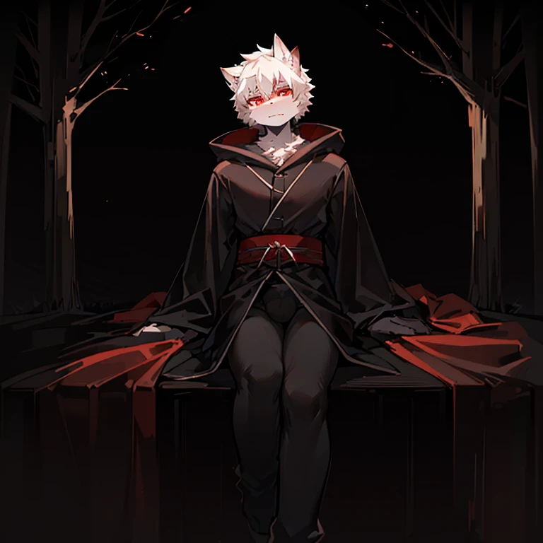 single, white furry, male kemono, , thick white hair, red eyes, white eyebrows, evil expression, (high quality), 4K, Hd, Upscale, masterpiece, (dark evironment 0.8), black robe, dark forest background, red full moon.