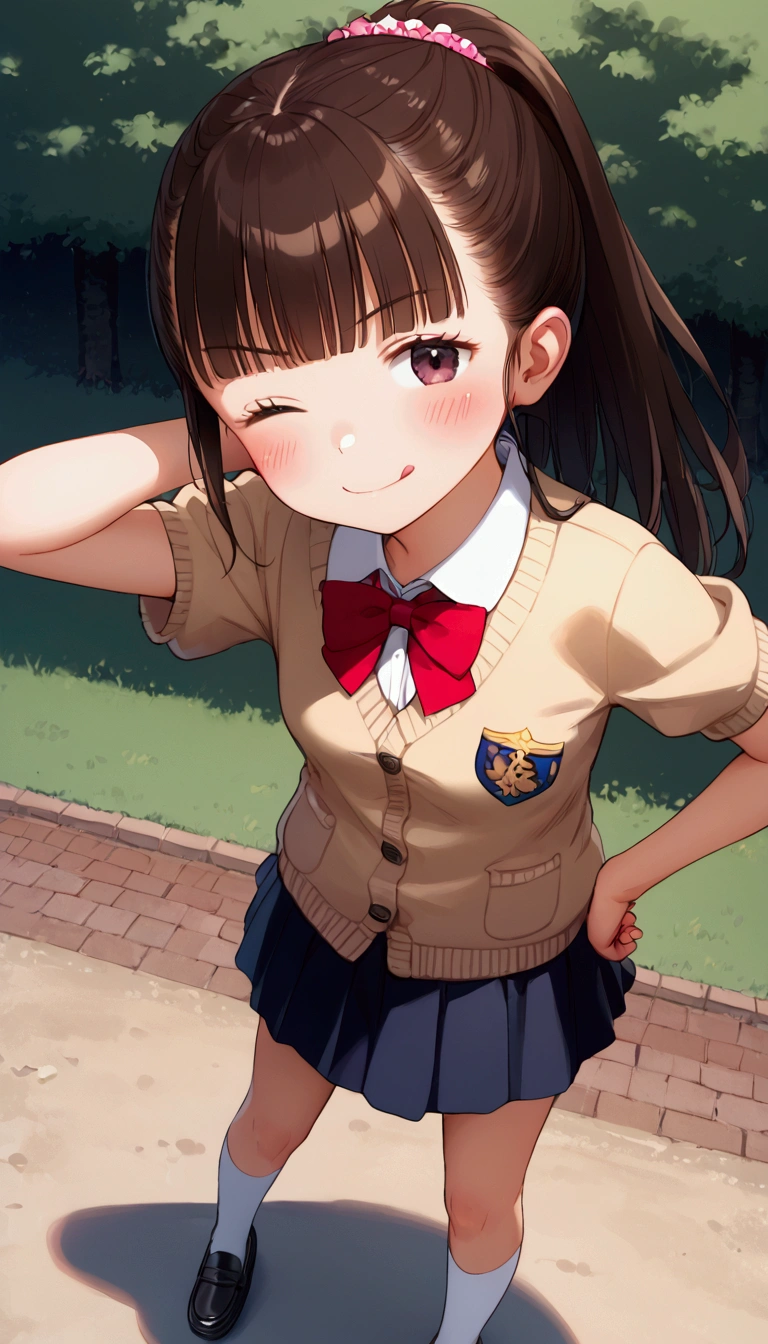 {Highest quality}, {Super beautiful},{Ultra fine},{Best illustration},Brown Hair,Hime cut,long hair,ponytail,One woman,Standing Woman,Strike a pose,Adult women,smug face,Excited face,Wink,uniform,cardigan,Short sleeve,skirt,Night Festival,Blushing,Slender,Black knee-high socks,Black Loafers,From an angle,From above,Spread your legs,Put one hand on your hip